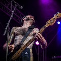 GutterPunk - Professional Concert Photography